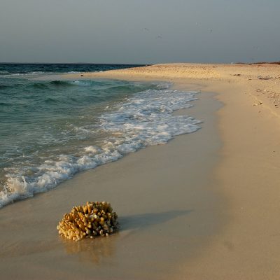 Dahlak Islands Experience