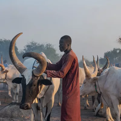 A taste of South Sudan