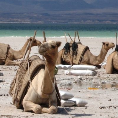 Djibouti: Heaven and Hell